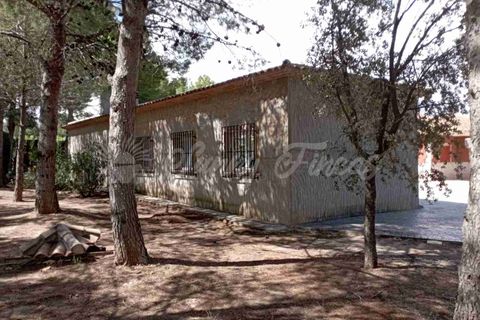 Landejendom i Yecla, Murcia, Yecla - € 480.000 | Ref: SF0501 - foto 28